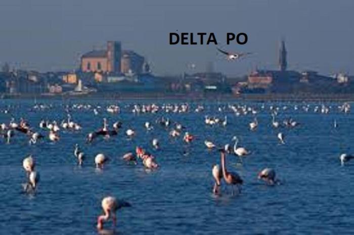 Mipro Mobilhome Lido di Spina Bagian luar foto